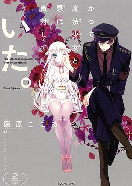 魔法少女与恶曾是敌人。